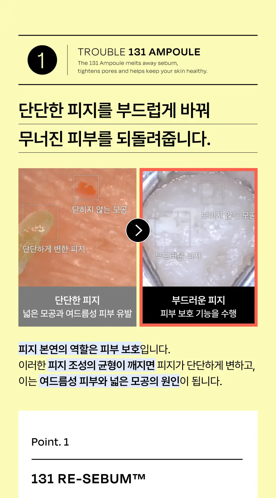 [조유리 PICK/한정수량] 셀라딕스 트러블 세범 리밸런싱 131 앰플 30ml 기획 (+리필 10ml) 상세페이지 17